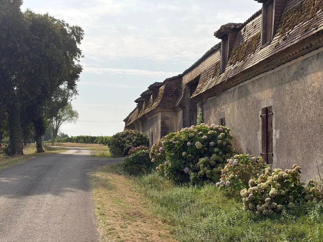 Azienda agricola a Salles-d'Armagnac, Occitania, Francia 4 - 18924060
