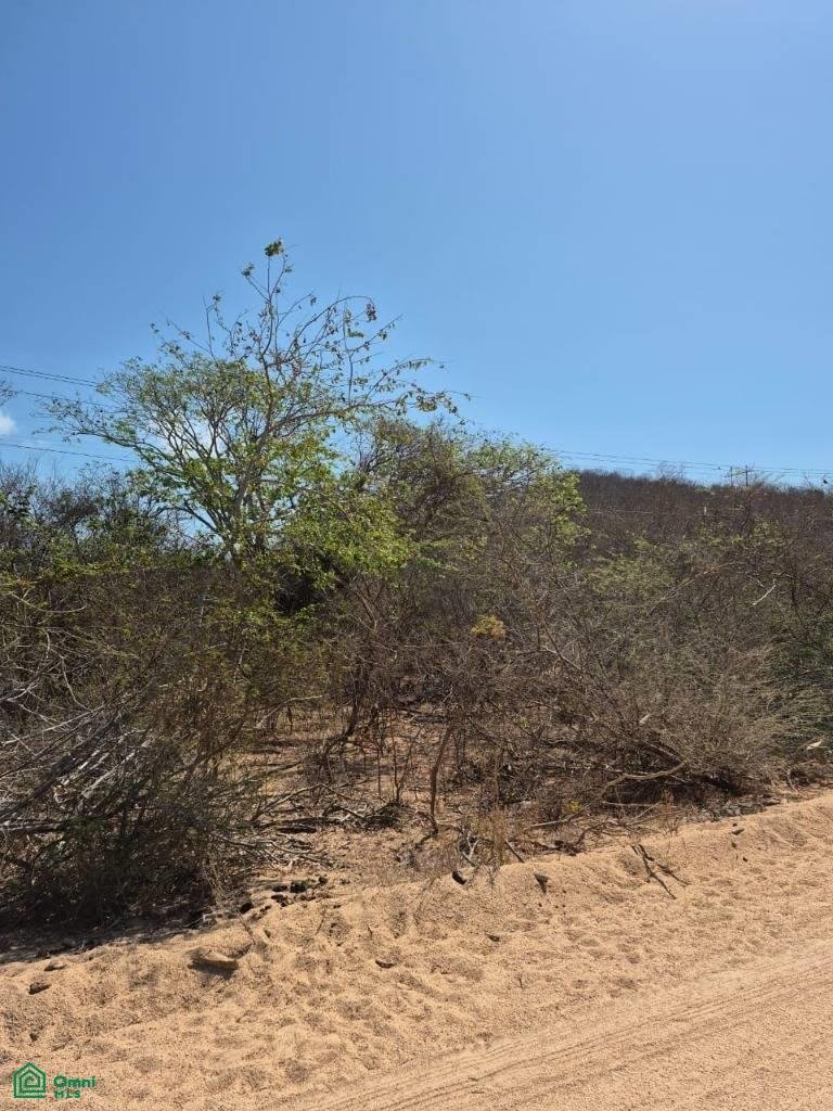 Land in Naranjitos, Jalisco, Mexico 5 - 17811108