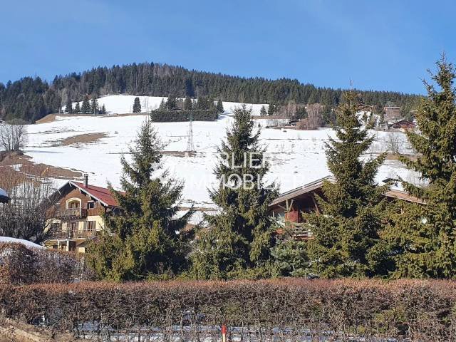 Apartamento en Megève, Auvernia-Ródano-Alpes, Francia 5 - 18271063