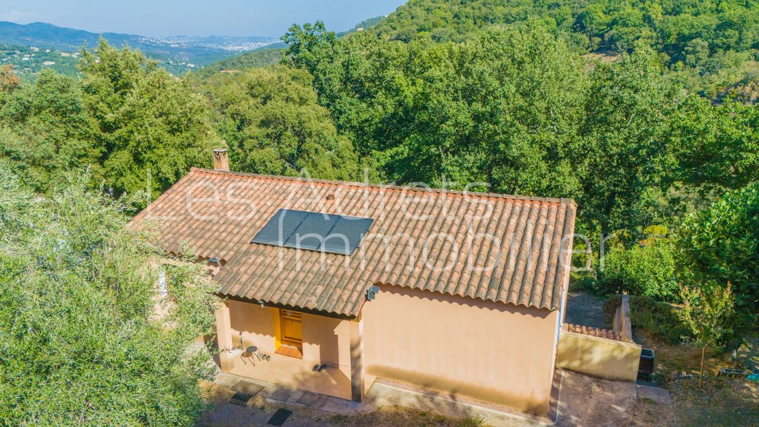 House in Les Adrets-de-l'Estérel, Provence-Alpes-Côte d'Azur, France 1 - 18923814