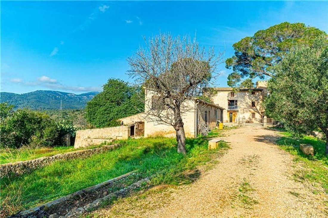Villa in Genoa, Palma, Balearic Islands 1 - 18926743