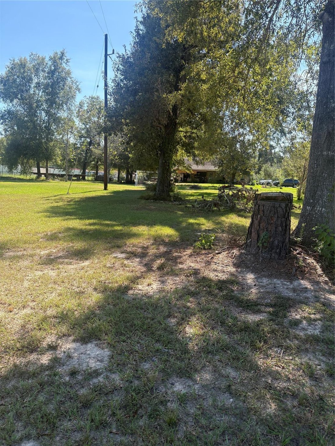 House in New Caney, Texas, United States 4 - 18926636