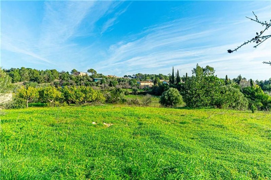 Villa in Genoa, Palma, Balearic Islands 2 - 18926743