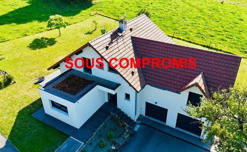 House in Arrondissement of Saint-Julien-en-Genevois, Auvergne-Rhône-Alpes, France 1