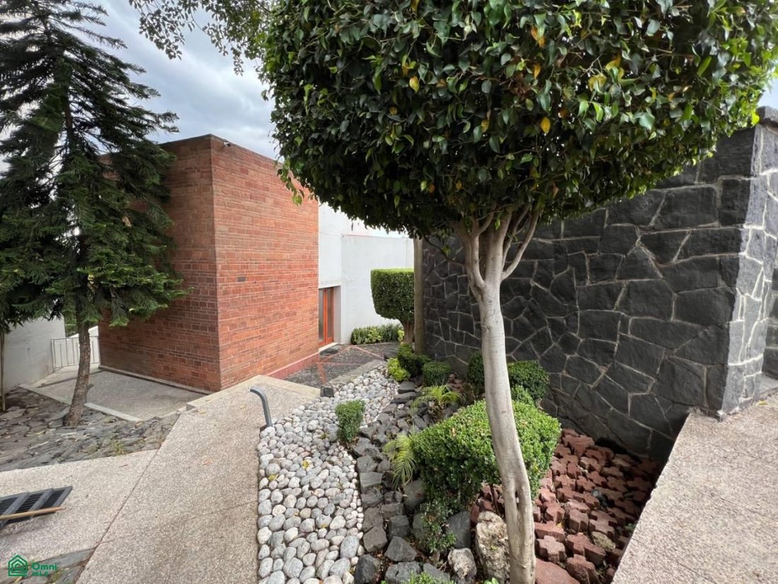 House in Santa Catarina Yecahuitzotl, Mexico City, Mexico 4 - 17233548