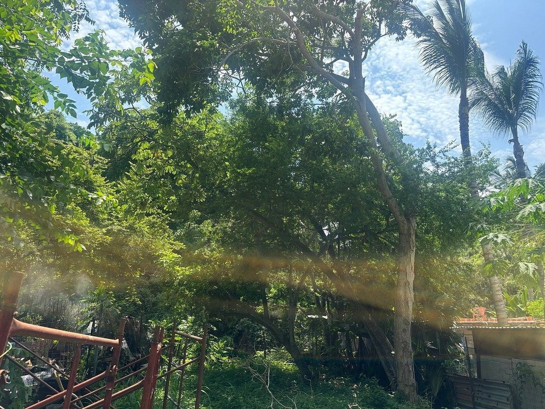 Land in Sayulita, Nayarit, Mexico 2 - 18927524