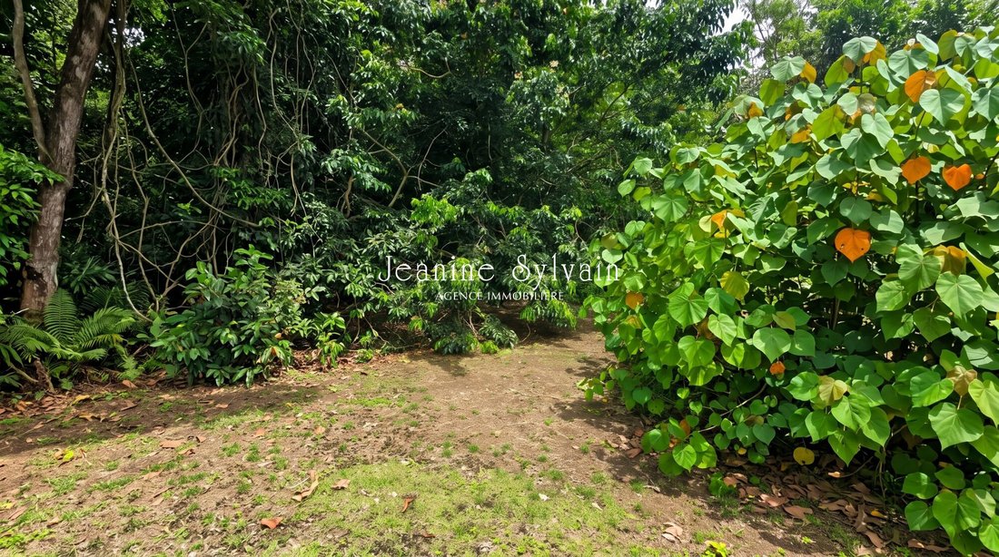 Land in taputapuatea, French Polynesia 1 - 18928005