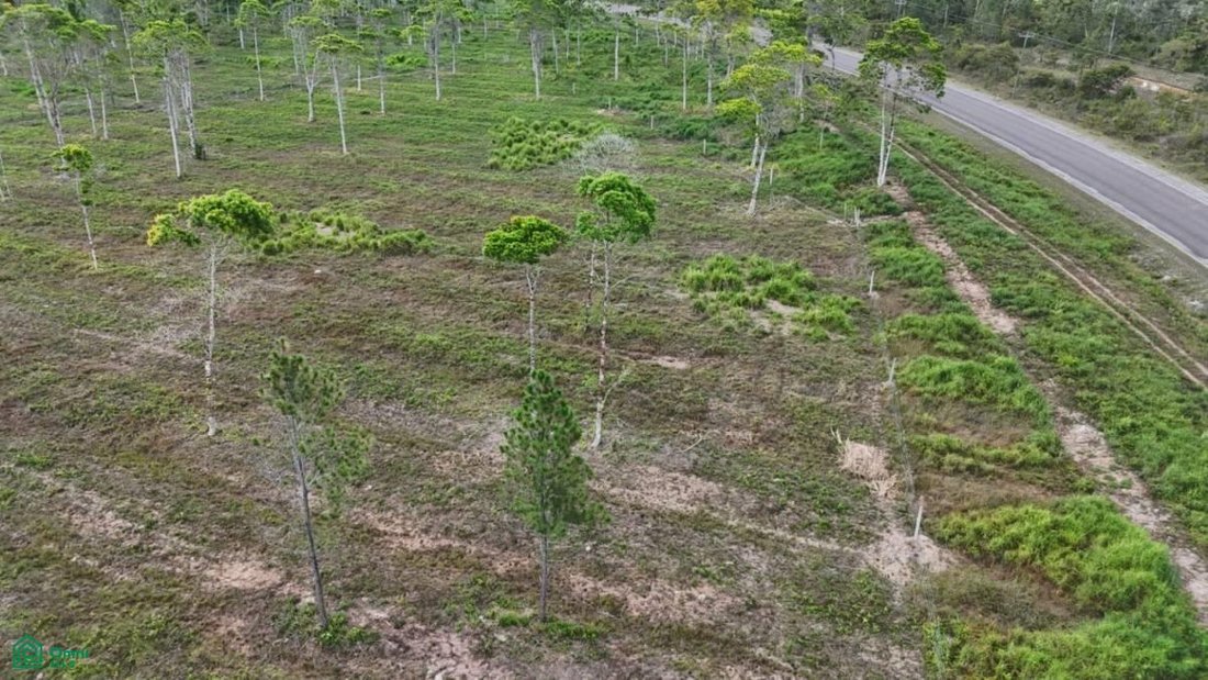 Terrain en Bladen, Tolède, Belize 5 - 18705365