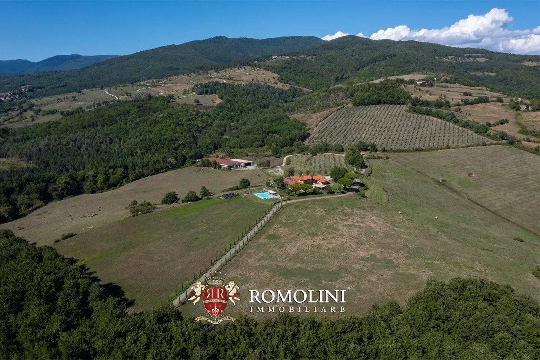 Estate in Bibbiena, Tuscany, Italy 3 - 18924110