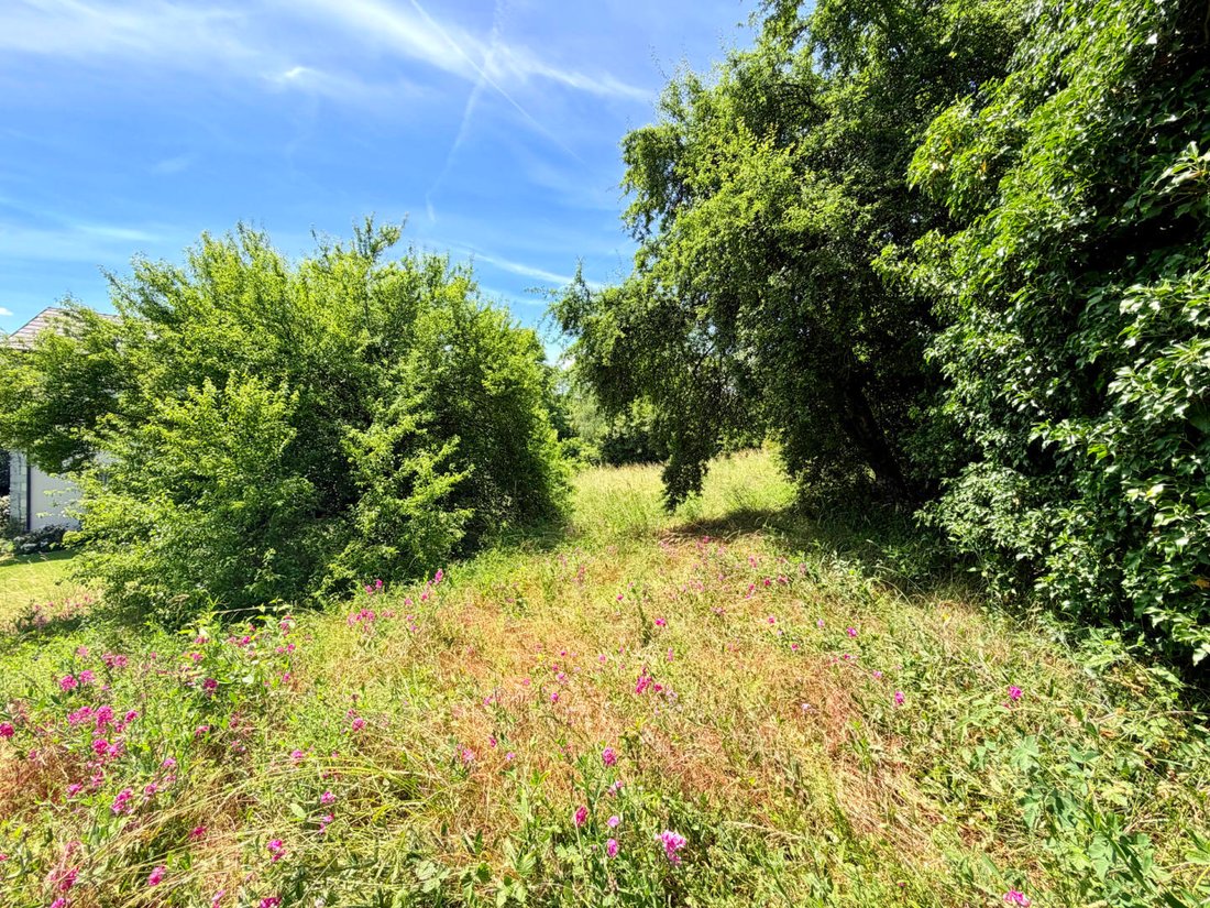 Land in Saint-Julien-en-Genevois, Auvergne-Rhône-Alpes, France 4 - 18927327