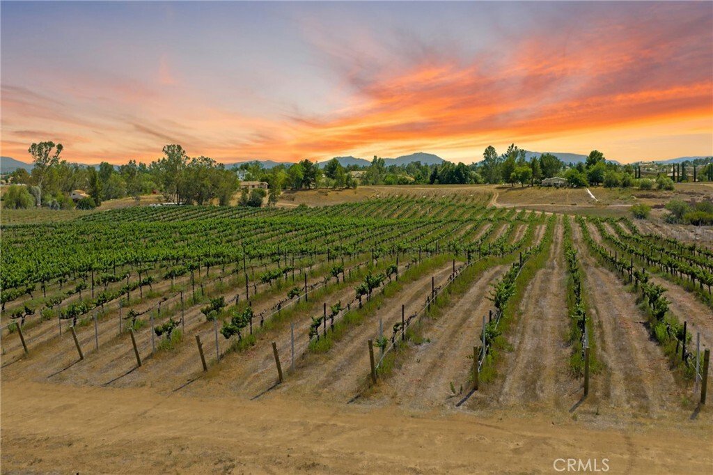 Land in Temecula, California, United States 3 - 17402915