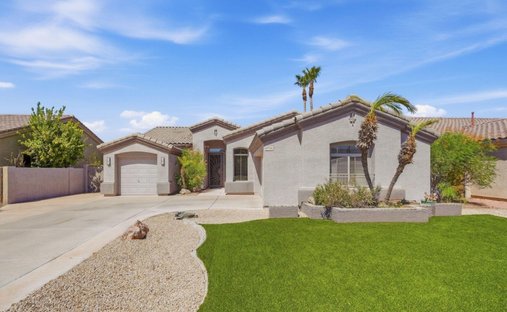 House in El Mirage, Arizona, United States 1