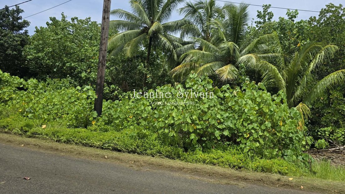 Land in taputapuatea, French Polynesia 4 - 18928005