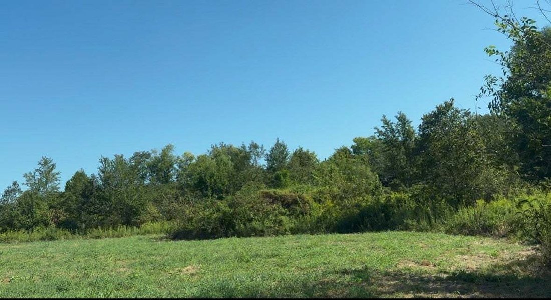 House in Springfield, Tennessee, United States 1 - 18925407