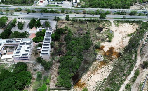 Land in Mérida, Yucatan, Mexico 1