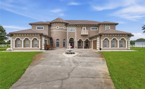 House in Groveland, Florida, United States 1