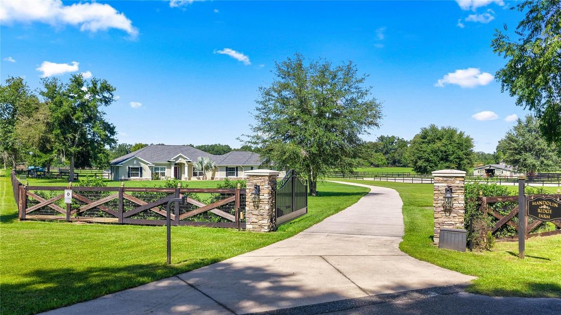 Farm Ranch in Morriston, Florida, United States 4 - 18925802