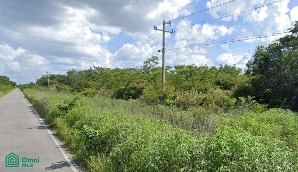 Land in Hunucmá, Yucatan, Mexico 5 - 17810828