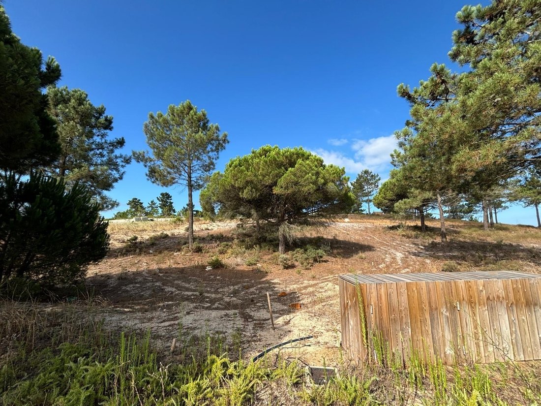 Land in Carvalhal, Setúbal Municipality, Portugal 3 - 18923887