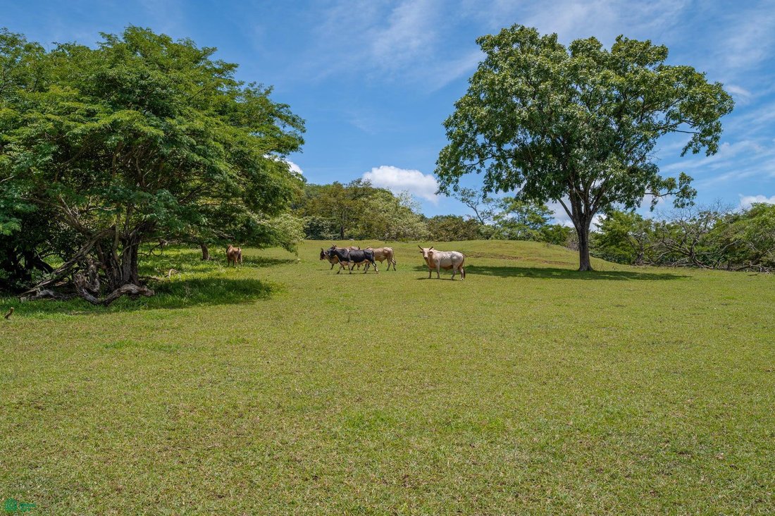 Land in Cabo Velas, Santa Cruz, Costa Rica 5 - 17810951