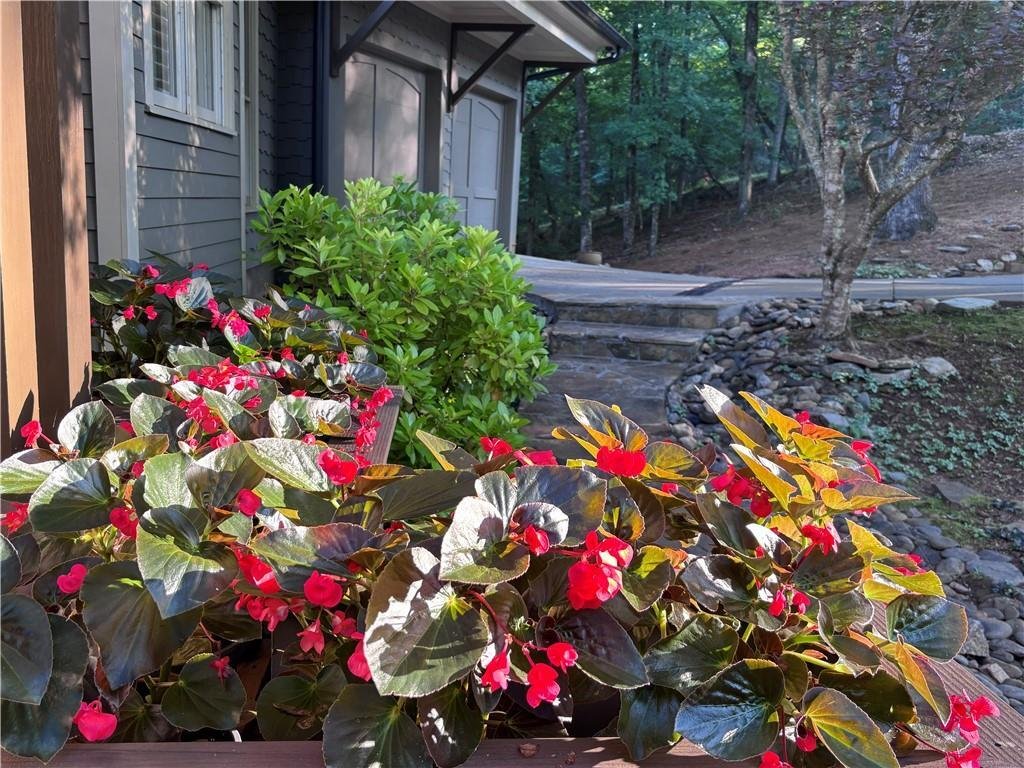 House in Dahlonega, Georgia, United States 5 - 18651416