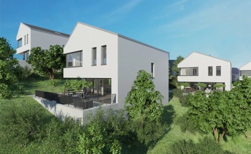 House in Blauen, Basel-Landschaft, Switzerland 1