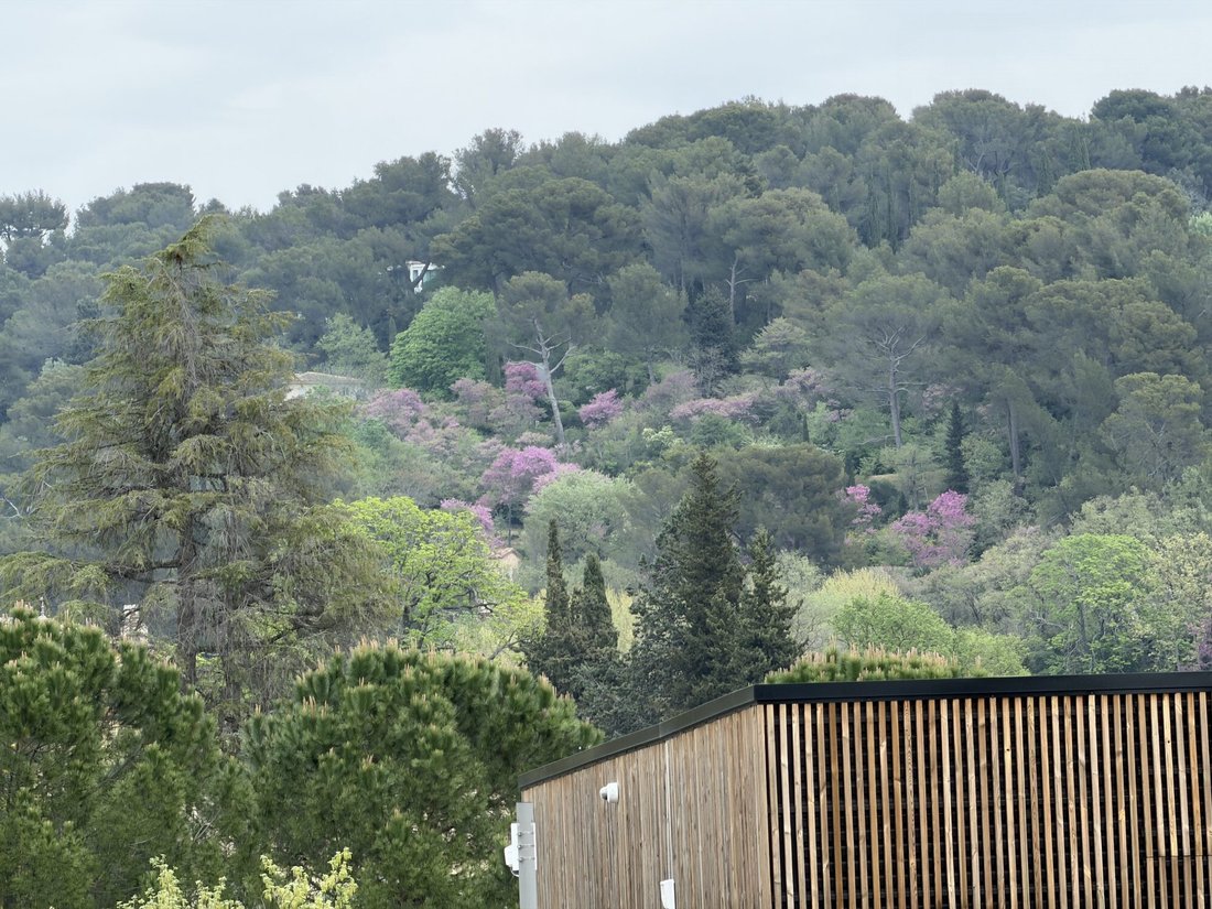 Apartment in Le Tholonet, Provence-Alpes-Côte d'Azur, France 2 - 17343738