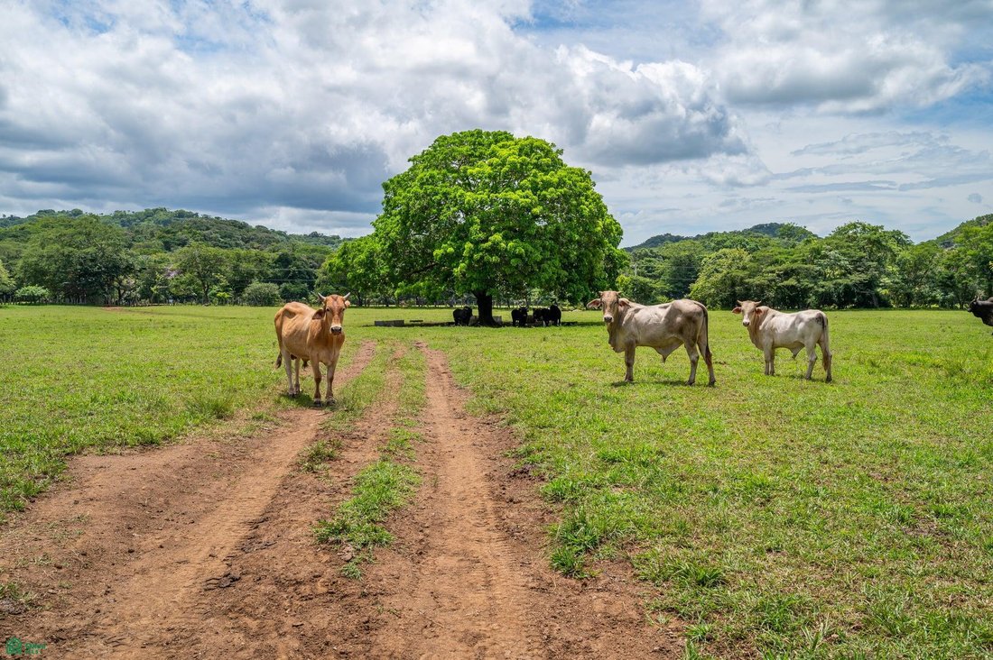 Land in Cabo Velas, Santa Cruz, Costa Rica 3 - 17810951