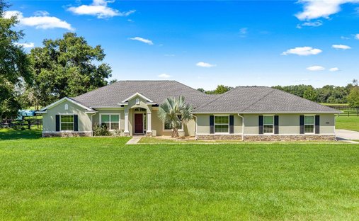 Farm Ranch in Morriston, Florida, United States 1