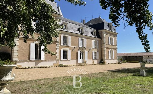 Castle in Châtellerault, Nouvelle-Aquitaine, France 1