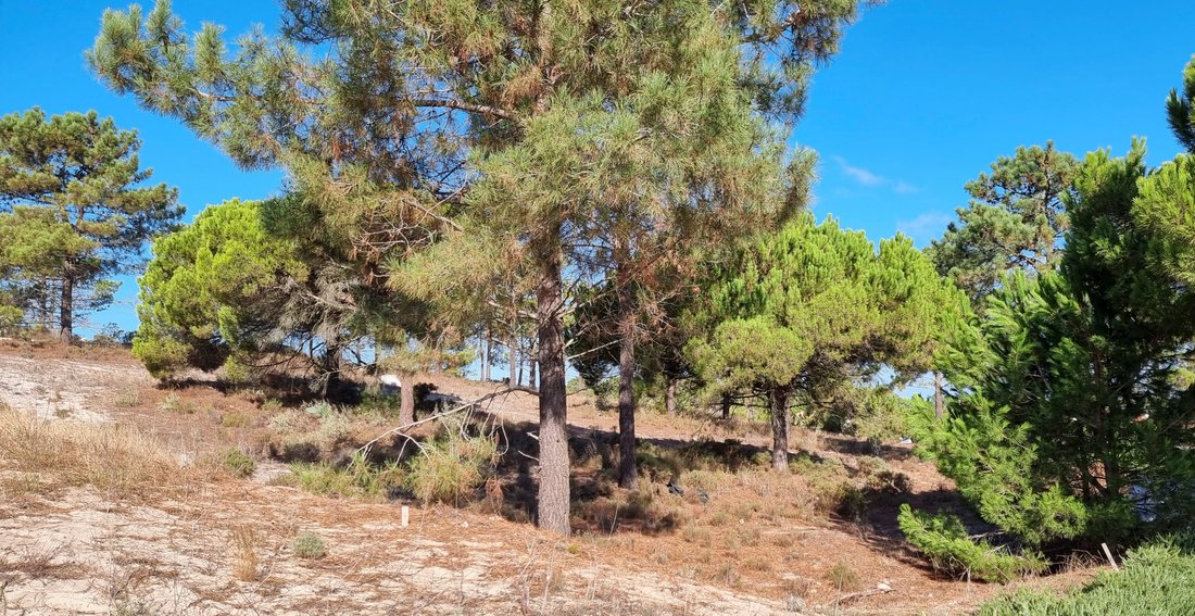 Land in Carvalhal, Setúbal Municipality, Portugal 1 - 18923887