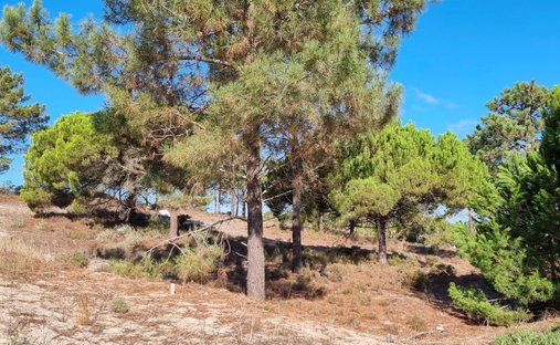 Land in Carvalhal, Setubal, Portugal 1