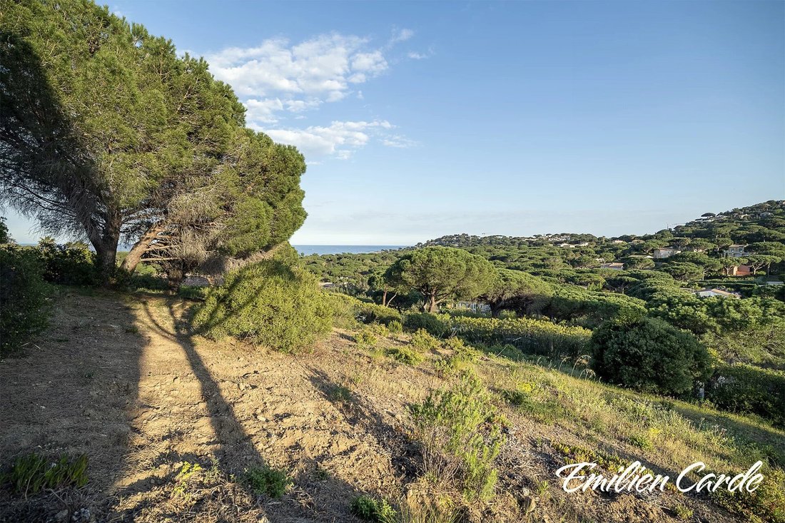 Land in Ville-Les Saquedes-Le Bouillonnet, Sainte-Maxime, France 4 - 16822996