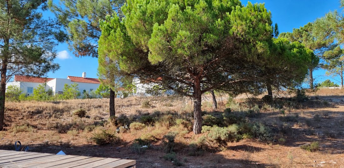 Land in Carvalhal, Setúbal Municipality, Portugal 2 - 18923887