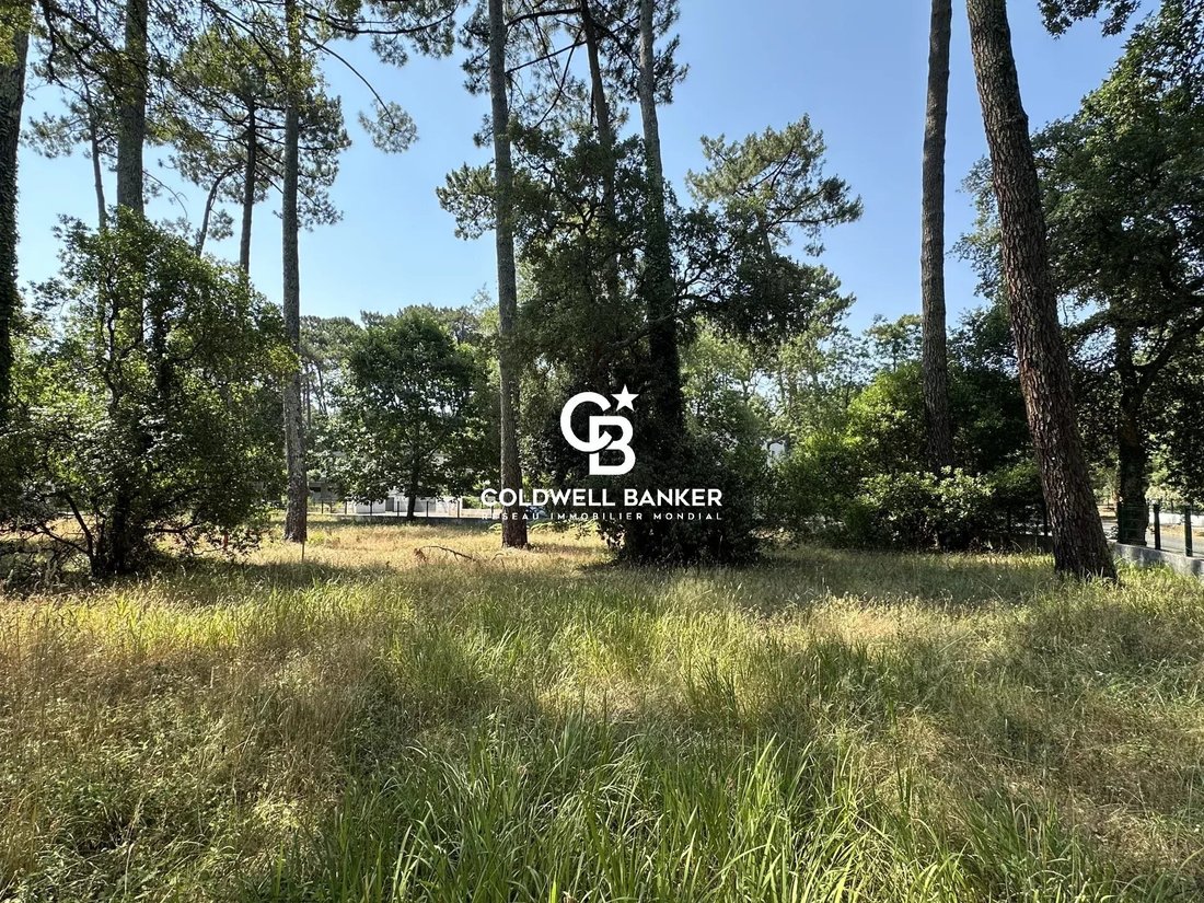 Land in Soorts-Hossegor, Nouvelle-Aquitaine, France 4 - 18923847
