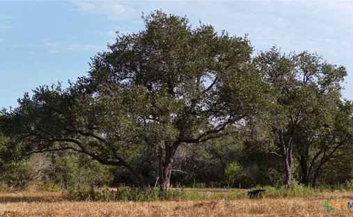 Farm Ranch in Refugio, Texas, United States 1