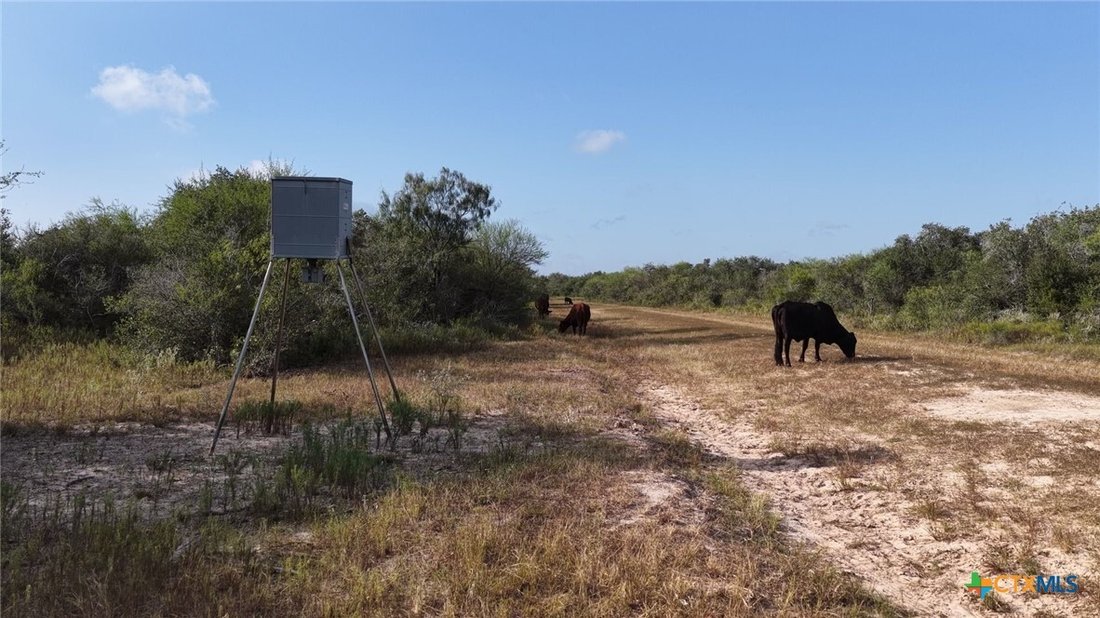 Farm Ranch in Refugio, Texas, United States 2 - 18925234