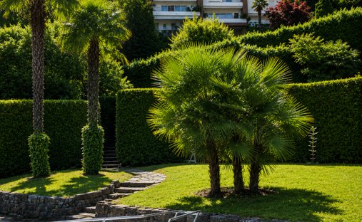 Townhouse in Montagnola, Collina d'Oro, Ticino 1