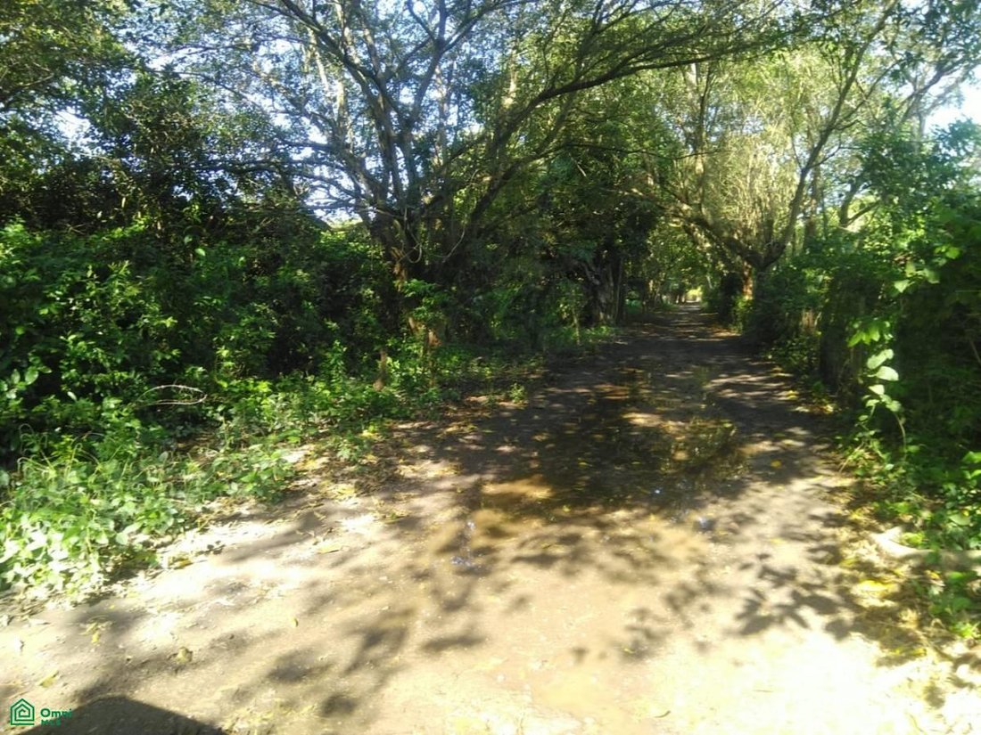 Terreno en San José Novillero, Veracruz, México 1 - 17811386