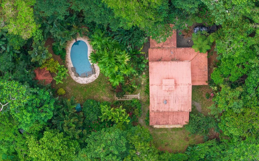 Casa a Cocles, Provincia di Limón, Costa Rica 5 - 17490040