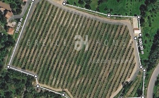 Terreno en São Brás de Alportel, Algarve, Portugal 1