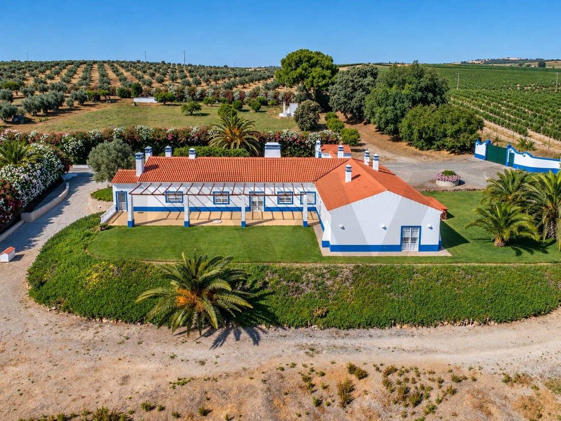 Haus in Ferreira do Alentejo e Canhestros, Beja, Portugal 3 - 17251409