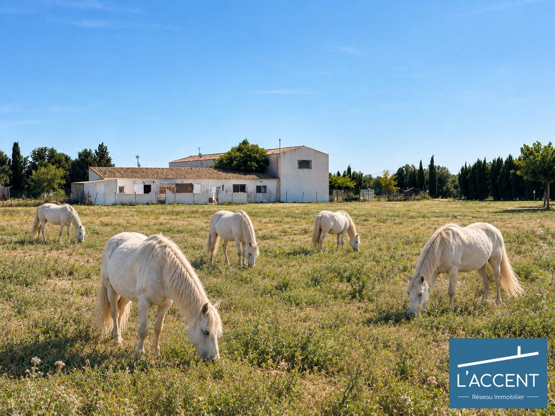 Country House in Le Cailar, Occitania, France 1 - 18927981