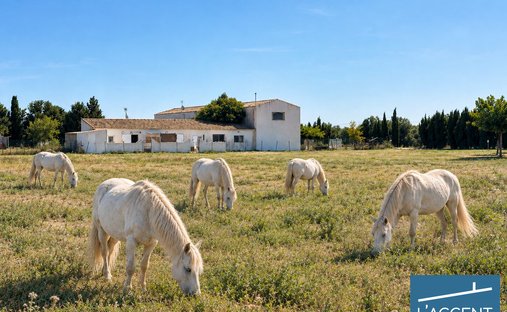 Country House in Le Cailar, Occitania, France 1