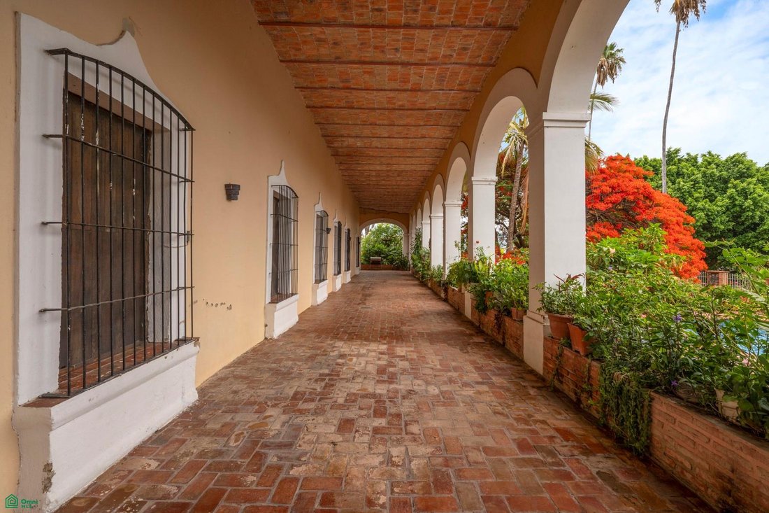 House in San Martin, Jalisco, Mexico 4 - 18008844