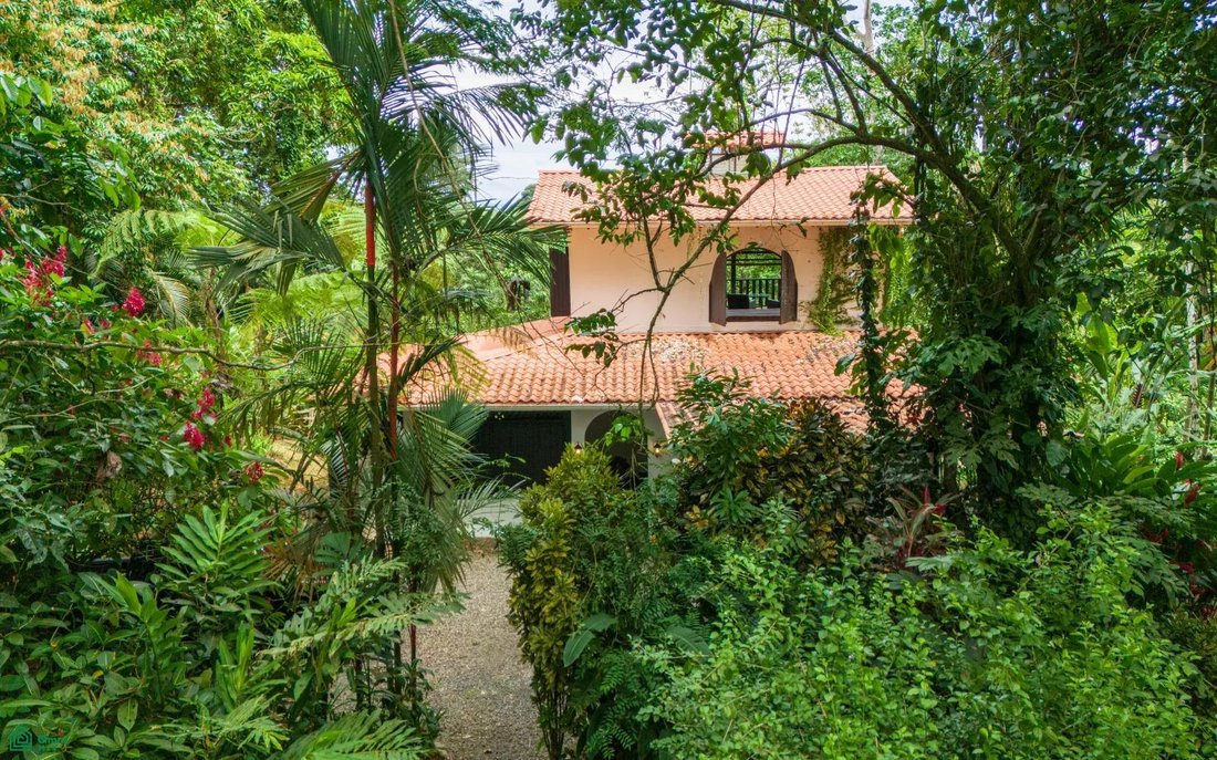 Casa a Cocles, Provincia di Limón, Costa Rica 4 - 17490040