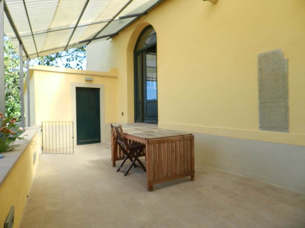 Apartment in Montorsoli, Tuscany, Italy 4 - 12110330