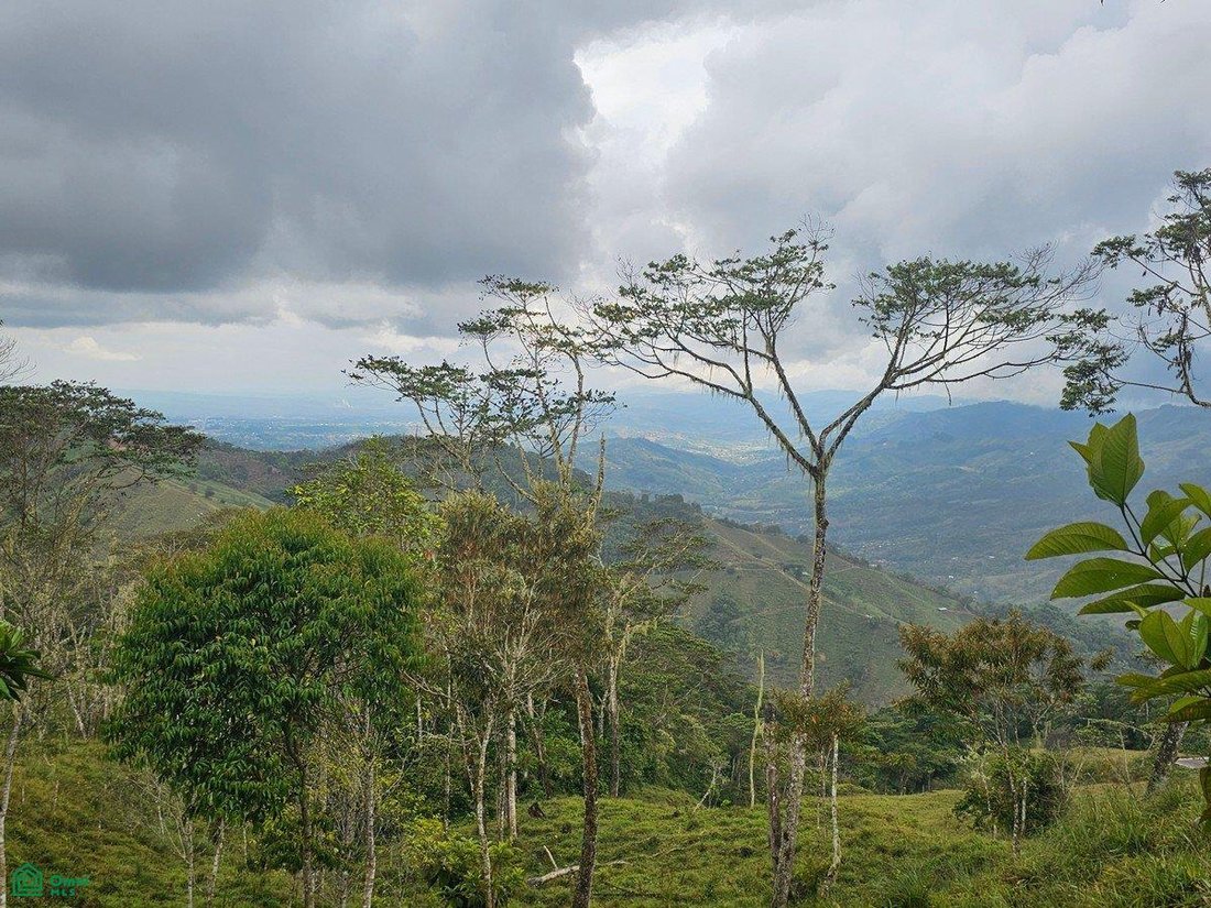 Land in El General, Pérez Zeledón, Costa Rica 2 - 18216705