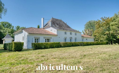 House in Saint-Laurent-de-Cognac, Nouvelle-Aquitaine, France 1