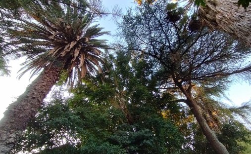 Land in Munro, Buenos Aires Province, Argentina 1